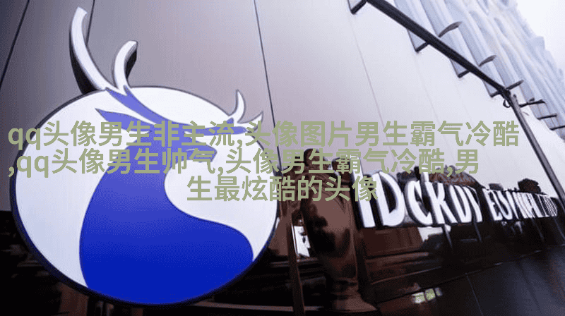 男生动漫个性网头像图片大全(精选16张)