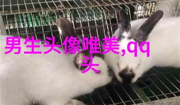 第一眼就吸引人的男生头像(优选18张)