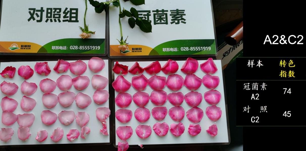女生专用蜡笔小新头像(共18张)