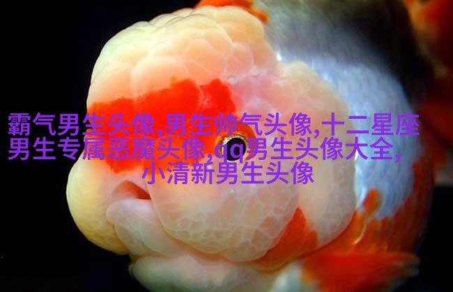 冷酷头像男生背影头像(优选16张)