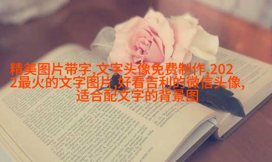 非常好看的情侣文字头像