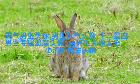 冷酷头像男生背影头像(优选16张)
