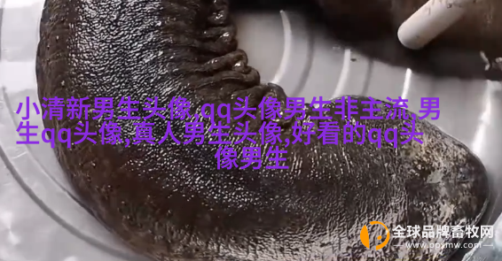 非主流头像丑男生图片(精选16张)