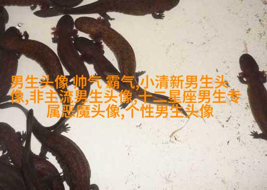简单大方阳光温暖的男生头像(精选20张)