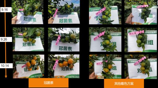 女生专用蜡笔小新头像(共18张)