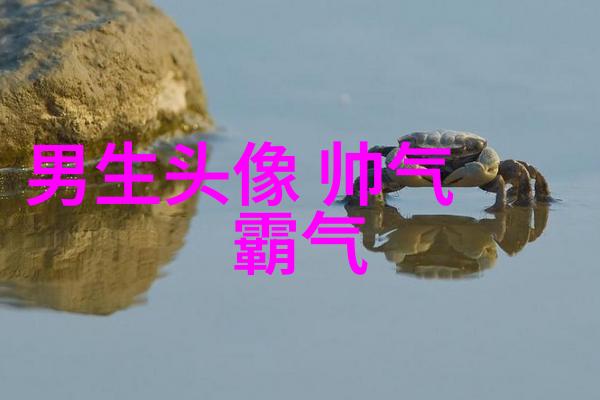 简单大方阳光温暖的男生头像(精选20张)