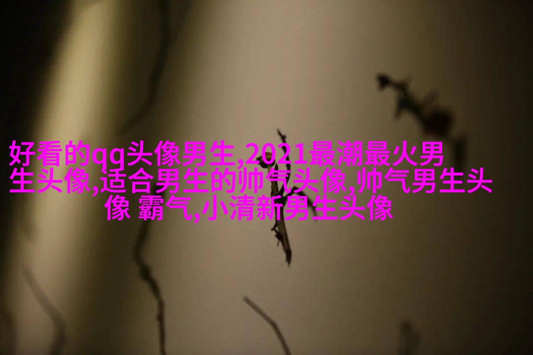 男生最爱的帅气qq头像(18张)