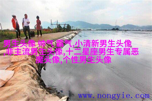 简单大方阳光温暖的男生头像(精选20张)