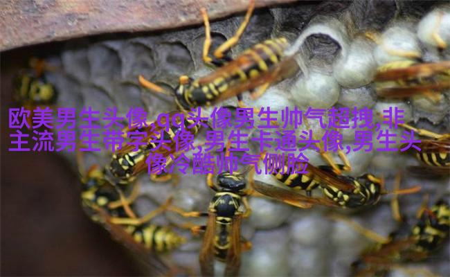 抽象有内涵的男生头像(优选22张)