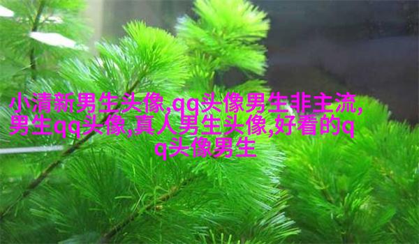 非主流头像丑男生图片(精选16张)