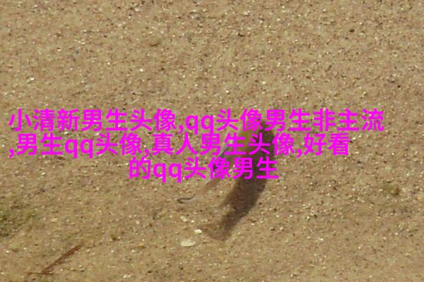 非主流头像丑男生图片(精选16张)