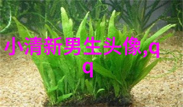 非主流头像丑男生图片(精选16张)