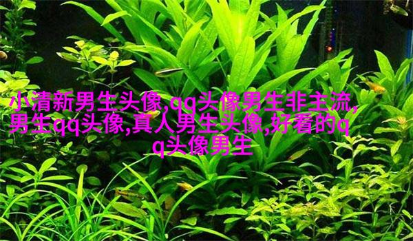 非主流头像丑男生图片(精选16张)