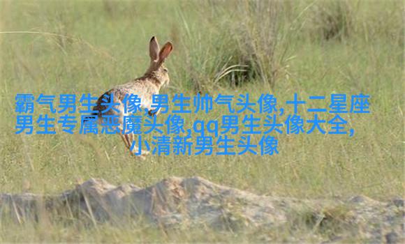 冷酷头像男生背影头像(优选16张)