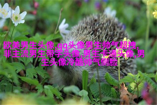 抽象有内涵的男生头像(优选22张)