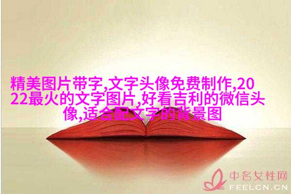 非常好看的情侣文字头像