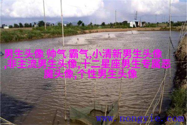 简单大方阳光温暖的男生头像(精选20张)