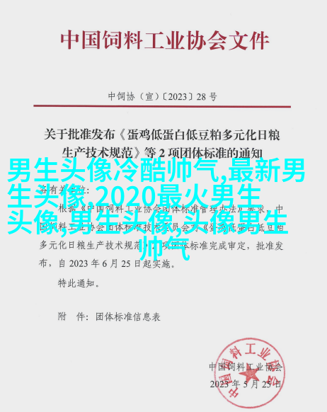 黑白超酷男生帅气qq头像(18张)