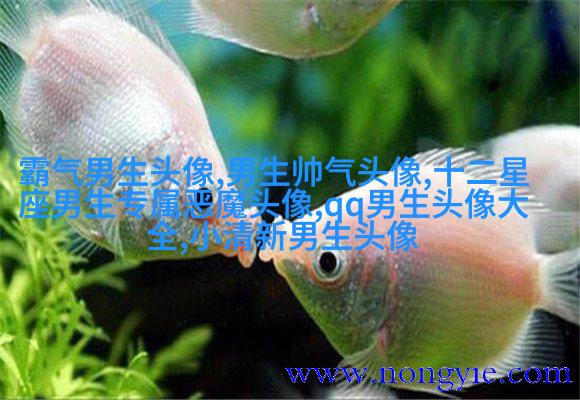 冷酷头像男生背影头像(优选16张)