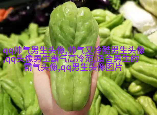 霸气超拽的qq男生头像图片(共18张)