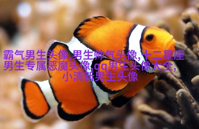冷酷头像男生背影头像(优选16张)