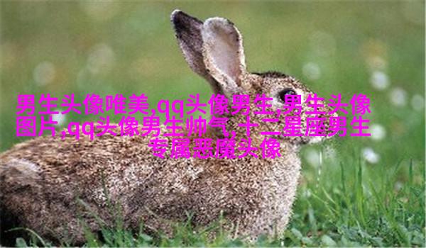 第一眼就吸引人的男生头像(优选18张)